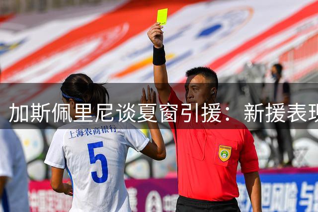 加斯佩里尼谈夏窗引援：新援表现达标 阵容仍需完善